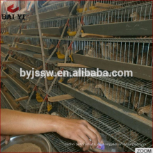 Jaulas de cría de codorniz de granja de aves de corral a la venta en Malasia